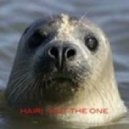 Hair - Not The One