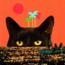 Little Dragon - Crystalfilm