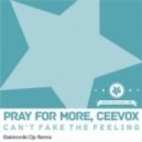 Pray For More, Ceevox - Can\'t Fake The Feeling (Elektroniki Djs Remix)