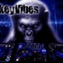 Sander Van Doorn vs. Knife Party vs. Clemens Brock - More LRAD for my Joyenergizer (MonkeyVibe\'s Mashup)