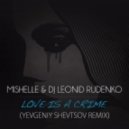 Mishelle & DJ Leonid Rudenko - Love is a Crime