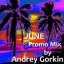 Dj Andrey Gorkin - June Promo Mix 2013 ()