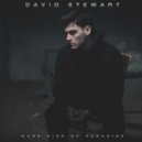 David Stewart - Silly Boy ()