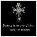 DJ Rain - Beauty is in Everything ...