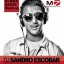 Dj Sandro Escobar & Dj Viduta, DJ Stylezz & DJ A.G - Bu Bu Bu (DJ Max Gross Mash\'up)