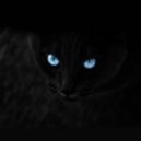 Calvin Harris feat. Example - We'll Be Coming Back (Black Spining Remix )