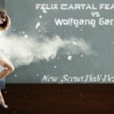 Felix Cartal feat. Ofelia vs Wolfgang Gartner - New Scene