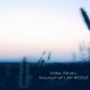 Atilla Altacı - Source Of Life