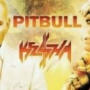 Pitbull feat. Ke$ha - Timber (Anders Crawn & Treyy G Remix)