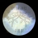 Spitbastard - After Life
