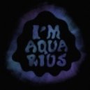 Metronomy - I\'m Aquarius (Edwin van Cleef Remix)