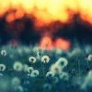 Secret Garden - Song From A Secret Garden