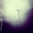 Deni Diezer - Walking On Roofs