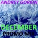 Dj Andrey Gorkin - December Promo Mix 2013 ()