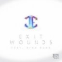 James Egbert - Exit Wounds feat. Nina Sung