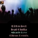 Dj Project feat. Giulia - Miracle Love