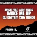 Avicii feat. Aloe Blacc - Wake Me Up