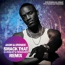 Akon & Eminem - Smack That (DJ Vengloff & Freshdance Remix)