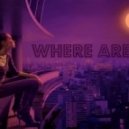 V.Ray - Where Are You (X-Wise Remix) (DubStep Remix)