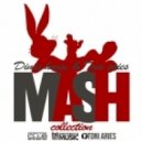 Avicii vs. Misha Pioner - You Make Me