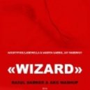 Martin Garrix, Mightyfools, Krewella & Jay Hardway - WIzard (Ra5ul Darker & DJ AKG Mashup) (Wizard)