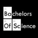Silver Swans - Best Friend In Love (Bachelors Of Science Remix)