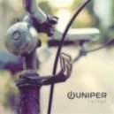 Juniper - Ballkan