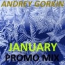 Dj Andrey Gorkin - January Promo Mix 2014 ()