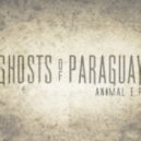 Ghosts Of Paraguay - Sheltered (Original mix)