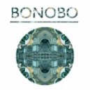 Bonobo ft. Andreya Triana - Stay The Same