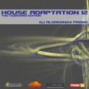 DJ Aldahonov PROMO - House Adaptation 12