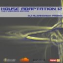 DJ Aldahonov PROMO - House Adaptation 12 ()
