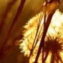 Moloko - The Time Is Now