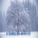 DSG - A Sense of Winter
