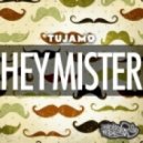 Tujamo - Hey Mister (Dj Artvi Remix)