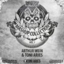 Avicii & Shaun Frank & Yash Vs Dj Yogurt feat. Dj Tims - Hey Brother (Arthur Wein & Toni Aries Mash Up)