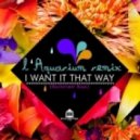 Backstreet Boys - I Want It That Way