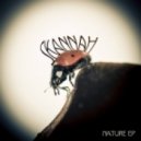 Skannah - Nature (Original mix)
