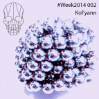 Kol\'yann - #Week2014 002 ()