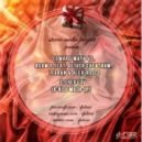 Edward Maya vs. Room 5 feat. Oliver Cheatham, Legran & Alex Rosco - Stereo Luv (D-Rise Mash-Up)