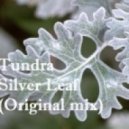 Tundra - Silver Leaf