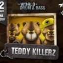 Teddy Killerz - 22.02 World Of Drum&Bass (Promo Mix)