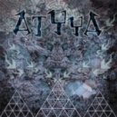 AtYyA - Amoebas