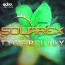 Solarex - Tiger Lily (Original mix)