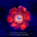 Flight Facilities feat. Elizabeth Rose - I Didn't Believe