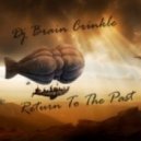 Dj Brain Crinkle - Return To The Past