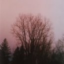 Myler - Dissolvable & Tasteless