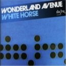 Wonderland Avenue Vs DJ A-One - White Horse (DJ FLASH BEAT Mash Up)
