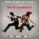 Matisse & Sadko vs. twoloud - One Hi Scandinavia! (Sean Kalejs MushUp)