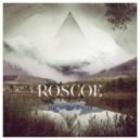 Roscoe - Lowlands (Niklas Thal Remix)